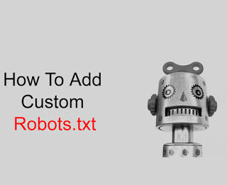 add custom robottxt, robots.xt