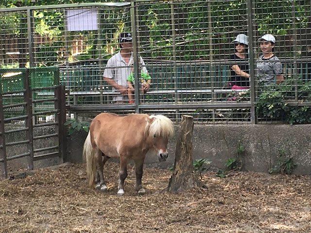 Shou Shan Zoo, Kaohsiung, Taiwan