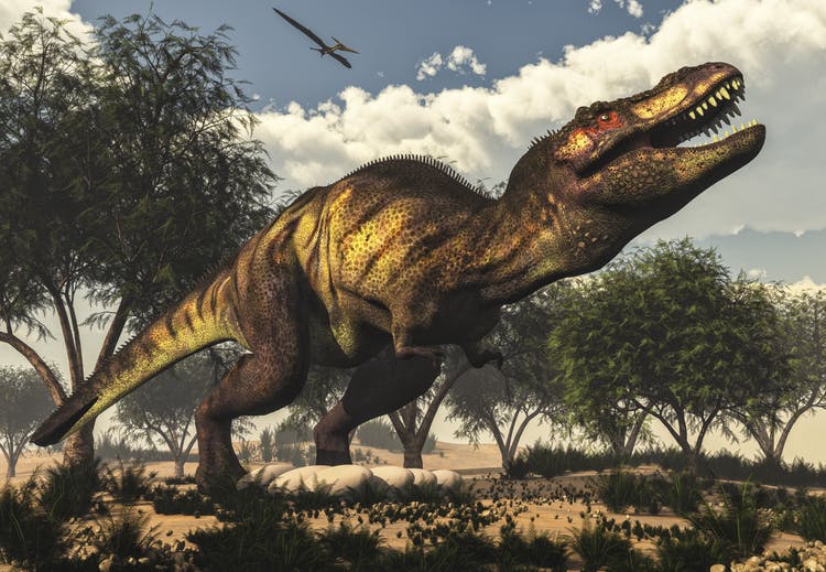 Giganotosaurus, Spesies Karnivora Terbesar Sepanjang Masa