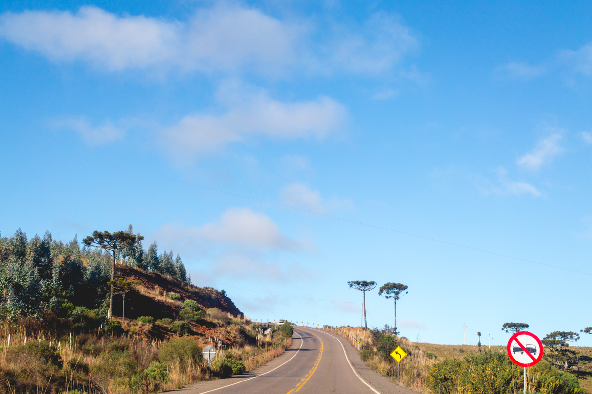 estrada na serra catarinense