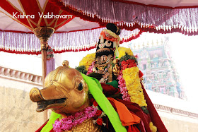 Neerata Utsavam,Kaanu Purappadu,Aandal Naachiyaar,Kothai, UTsavam,Dharisanam, Sri PArthasarathy Perumal, Perumal, Venkata Krishna , Varushotsavam, 2018, Video, Divya Prabhandam,Triplicane,Thiruvallikeni,Utsavam,