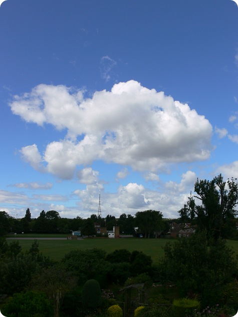 P1300305