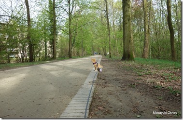 14-DSC02592