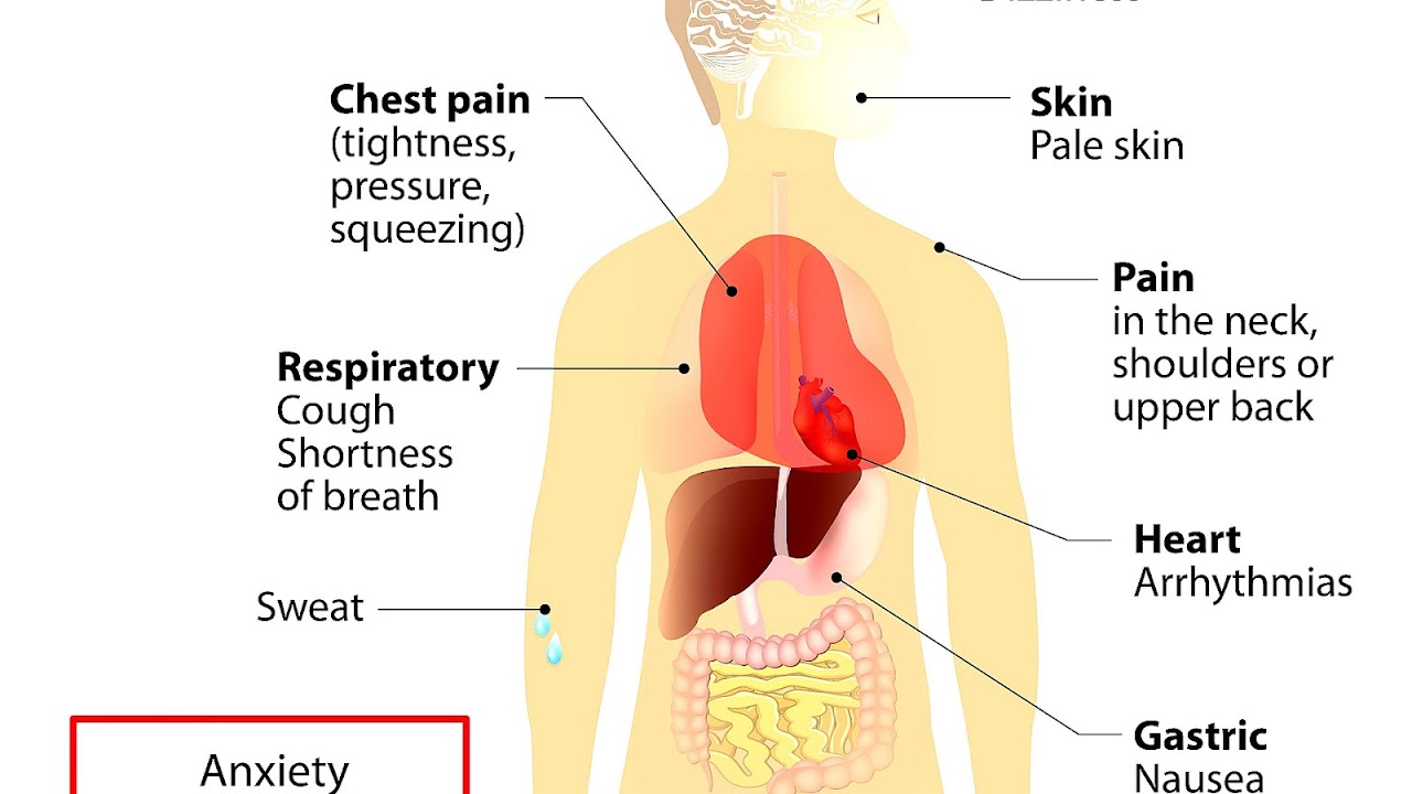 Chest Pain Stress Or Heart Attack