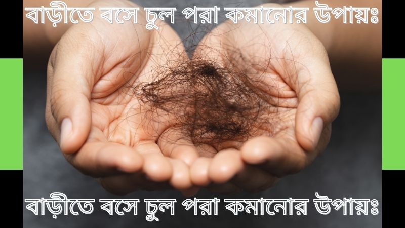 বাড়ীতে বসে চুল পরা কমানোর উপায়ঃ