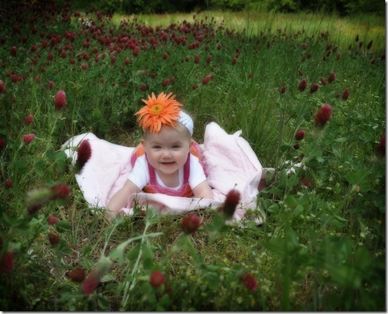 Tess in Field 6 months 2