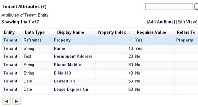 Tenant Attributes Tenant Attributes