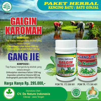 banner obat batu ginjal