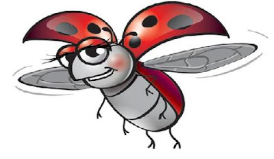 Ladybug House