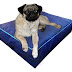 ❤✅ Colchon Liso Antidesgarro 52x40x13 Cm Cama Para Perros - ✌✌ 2019