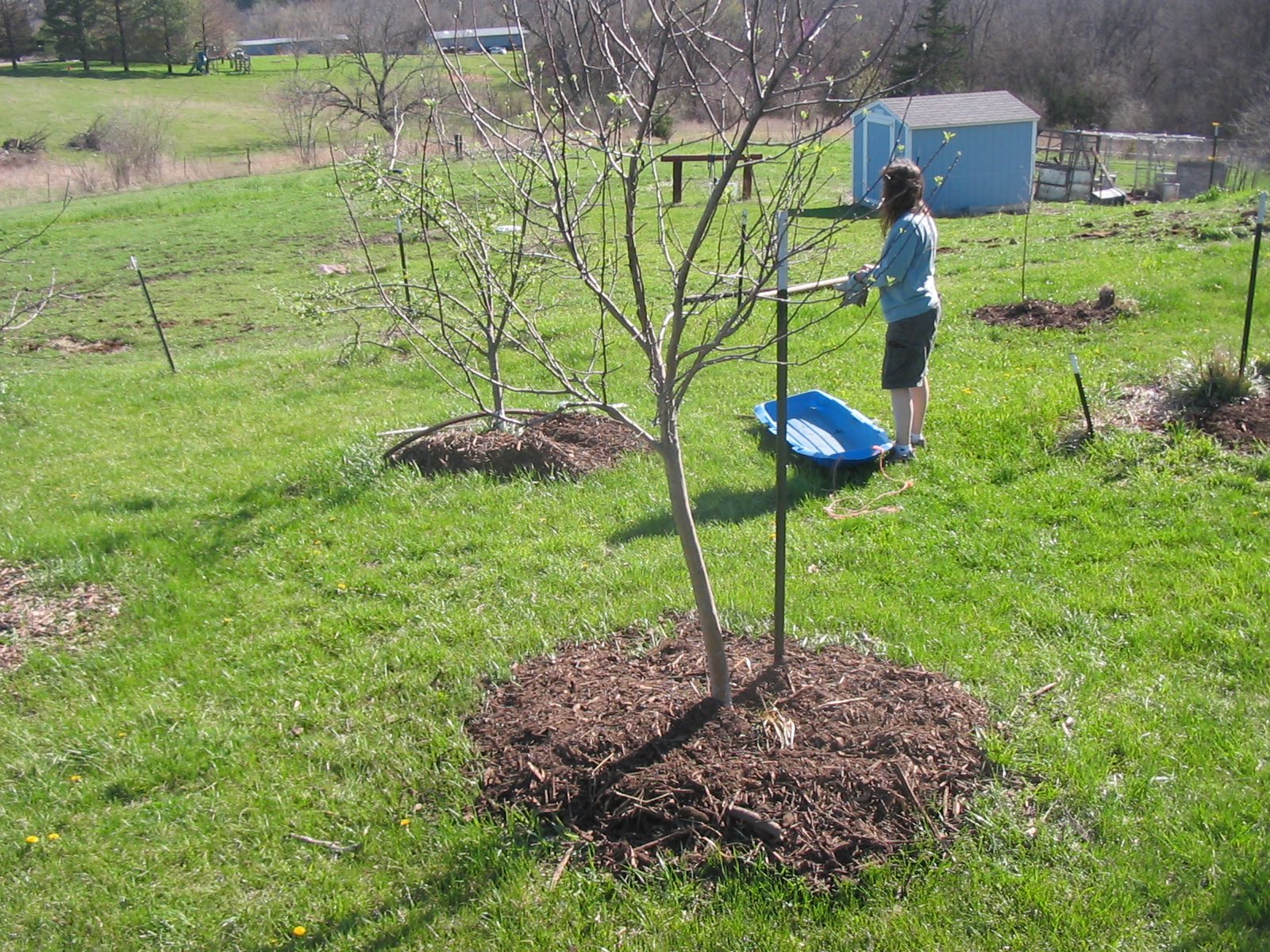 Plastic Mulch