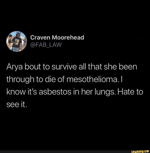 Image Mesothelioma Meme Arya