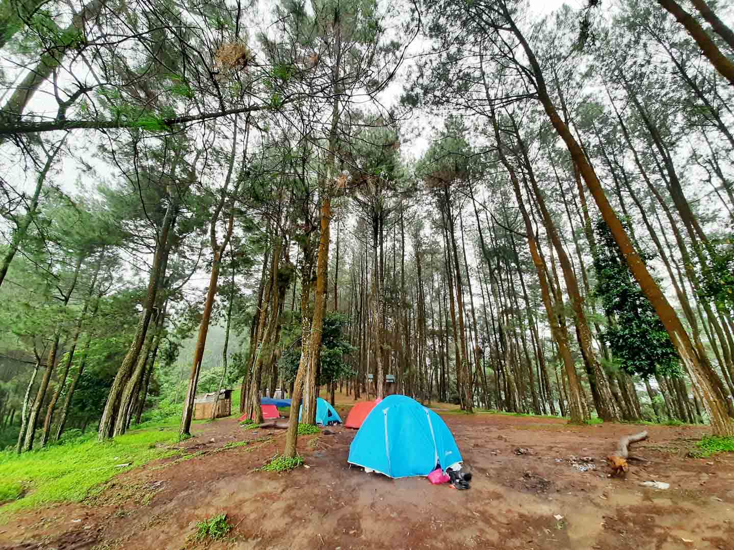 Air Terjun Ciampea Bogor