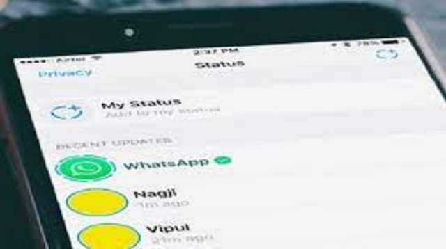 Cara Download Status WA Tanpa Aplikasi