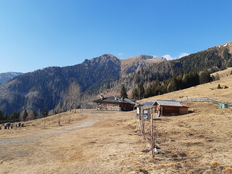 Malga Cere nel Lagorai - Trentino