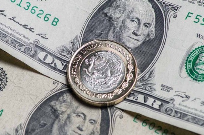 ECONOMÍA/// Salario mínimo para 2019 podría crecer a cerca de 100 pesos: STPS