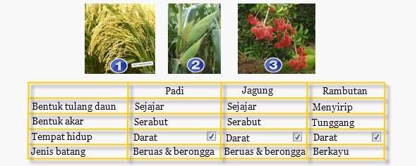 Soal Tentang Pengelompokkan Makhluk Hidup Kumpulan Soal 