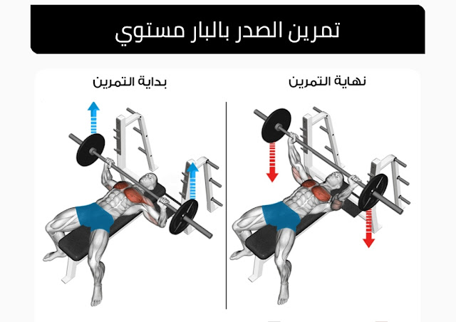 تمرين Barbell Bench Press من أفضل تمارين الصدر في الجيم