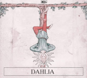 Dahlia XII
