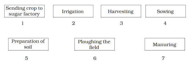 crop production and management