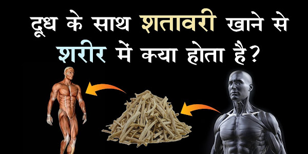 Shatavari benefits in Hindi, shatavri से होने वाले फायदे हिंदी में।