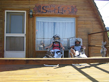 Pioche Cabin