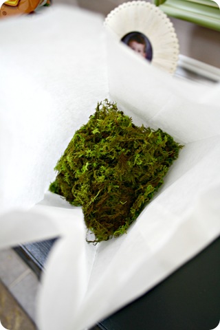 moss