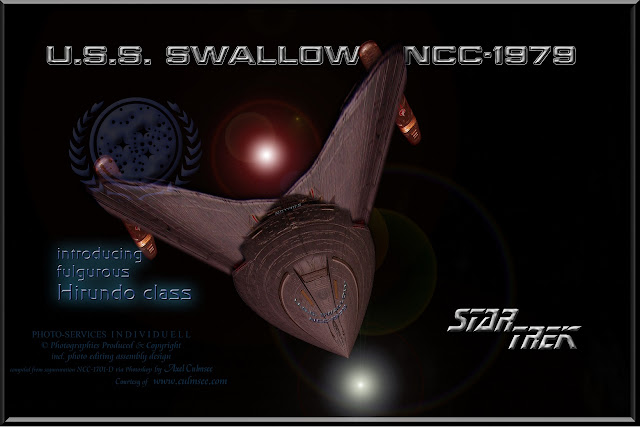 U.S.S. SWALLOW NCC-1979