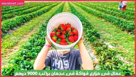 مطلوب عمال في مزارع فواكة في عجمان براتب 9000 درهم