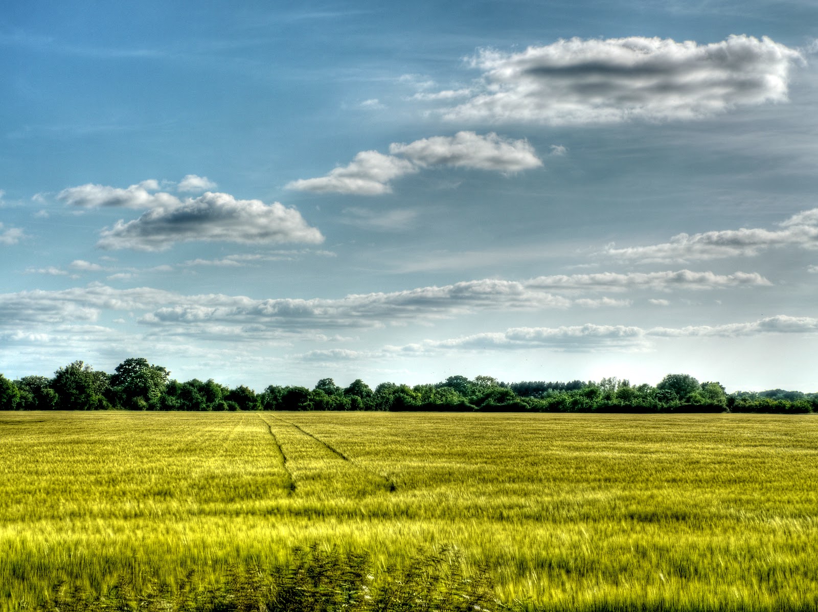 P1120476_4_5_tonemapped.JPG