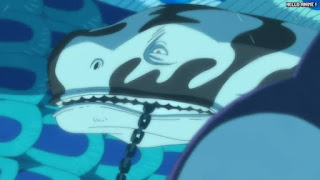 ワンピースアニメ 魚人島編 568話 海王類 ノア | ONE PIECE Episode 568