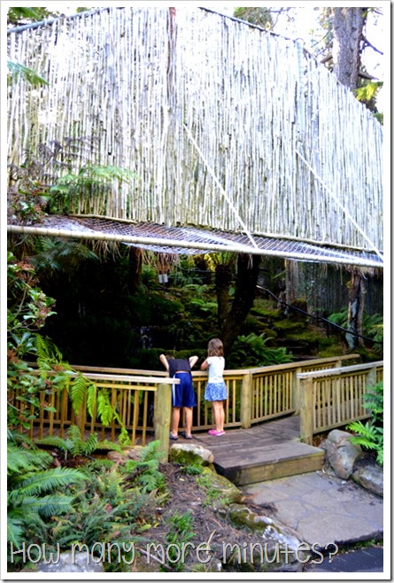 Royal Tasmanian Botanical Gardens ~ How Many More Minutes?
