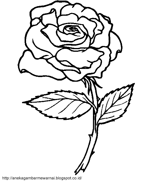 Gambar Mewarnai Bunga Mawar Untuk Anak PAUD dan TK