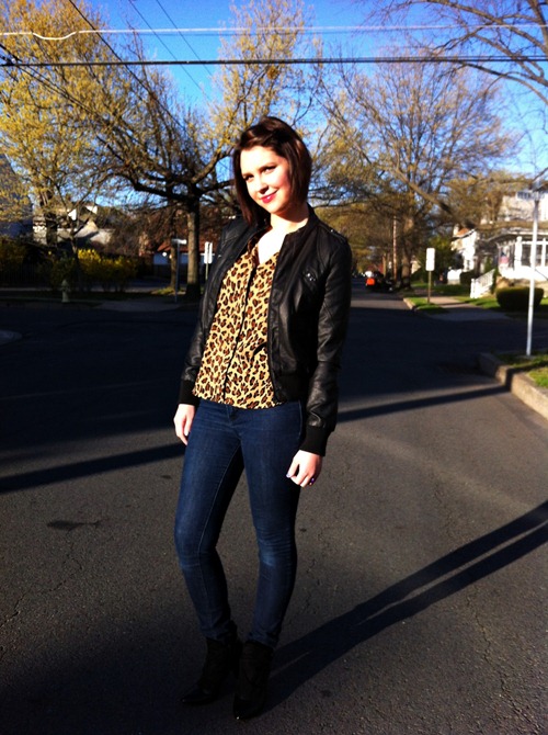 leopard