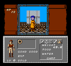  Detalle Dungeon Magic Sword of the Elements (Ingles) descarga ROM NES