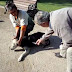 ΑΠΑΝΘΡΩΠΟ-ΑΠΑΡΑΔΕΚΤΟ ΒΙΝΤΕΟ: Κτήνη σε δημόσιο πάρκο δηλητηριάζουν on camera πάνω απο 10 σκυλιά - Δείτε τους απολίτιστους!