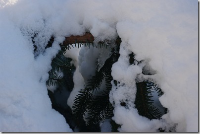 Bilder Februar 156