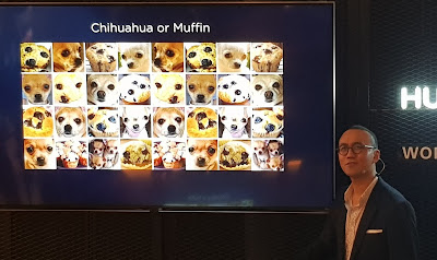 Chihuahua or muffin? Sometimes it's hard to tell, but not for the HUAWEI Mate 10.