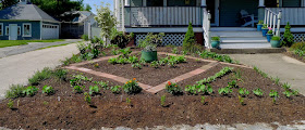 Less Noise, More Green Edible Landscape Project, using vegetables in edible landscaping