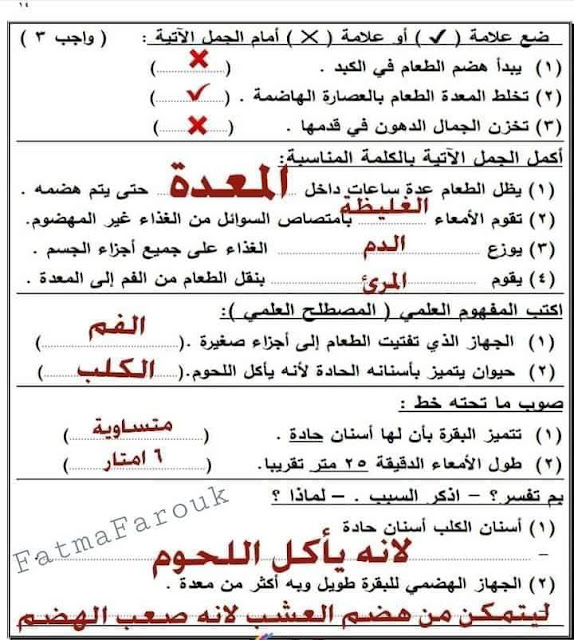 امتحان العلوم للصف الرابع الابتدائي