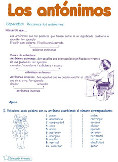 Image result for fichas de antonimos para niños