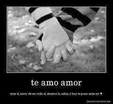 imagenes de Te amo con frases lindas de amor