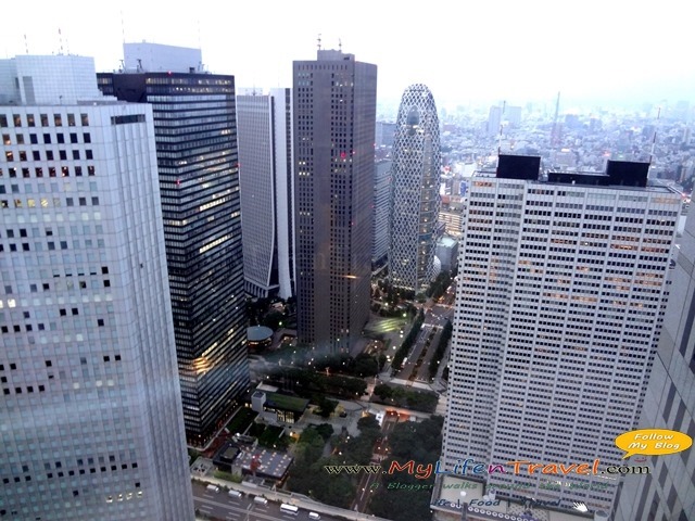 Metropolitan Government Building