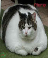 plump