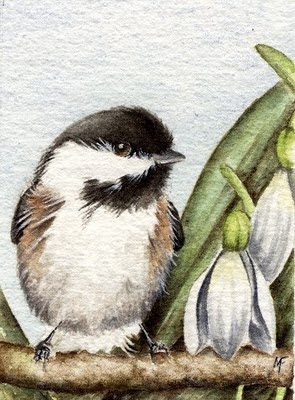 watercolour chickadee painting