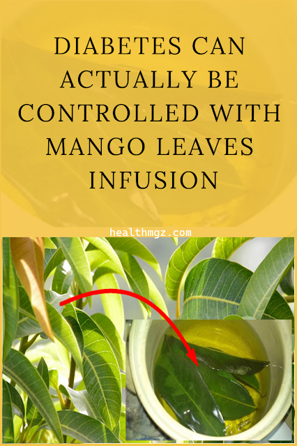 Diabetes Can Actually Be Controlled With Mango Leaves Infusion !!!