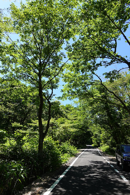 鳥取県西伯郡大山町高橋　香取農道