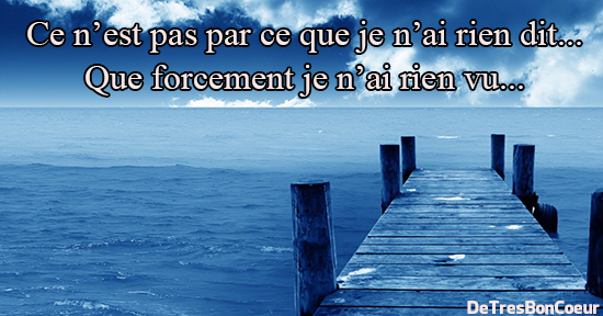 Ce n’est pas par ce que je n’ai rien dit... Que forcement je n’ai rien vu...