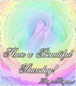 beautiful_thursday_rainbow_rose
