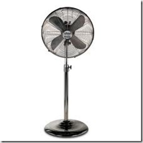 fan